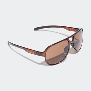 런닝 Pacyr Sunglasses [아디다스 선글래스] Brown/Core Black/Brown (CK1032)