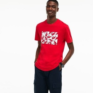 [해외] Mens Graphic Design Cotton T-Shirt [라코스테 LACOSTE] red/white (TH3929-51-NWH)