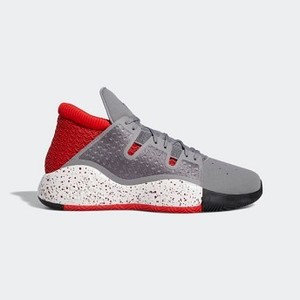 Mens Basketball Pro Vision Shoes [아디다스 운동화] Grey Three/Collegiate Burgundy/Active Red (G27754)
